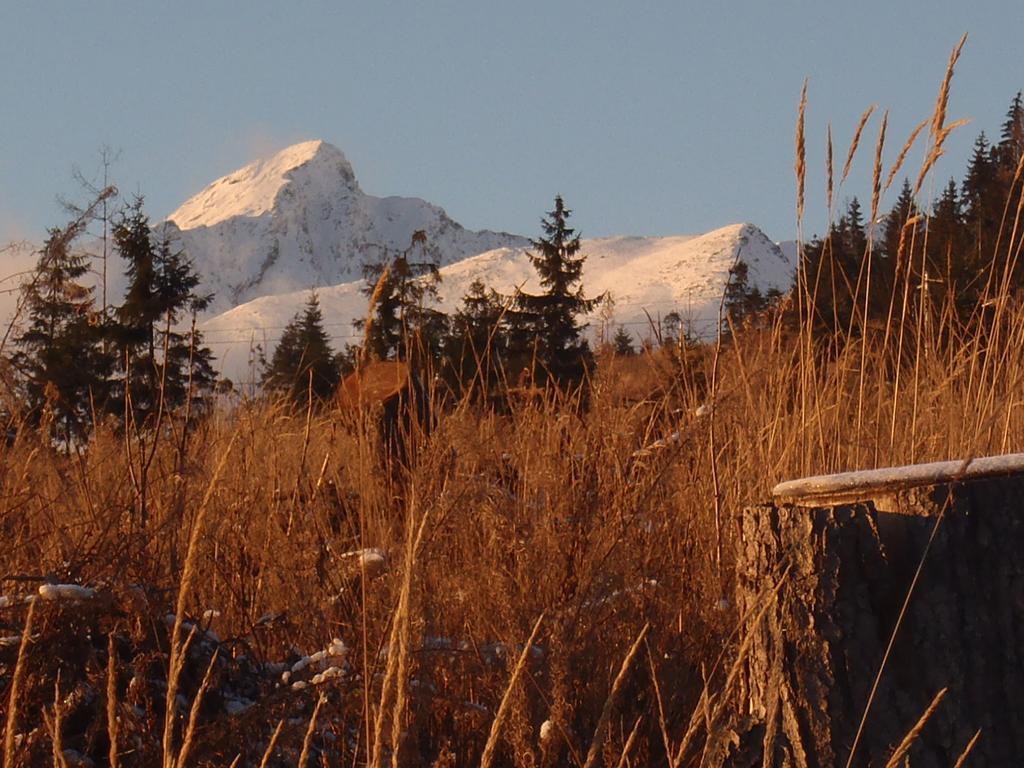 Chaty Tatra ตาตรันสกา ชตราบา ภายนอก รูปภาพ